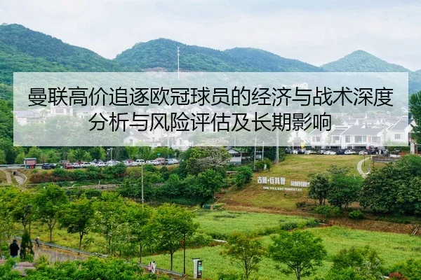 曼联高价追逐欧冠球员的经济与战术深度分析与风险评估及长期影响