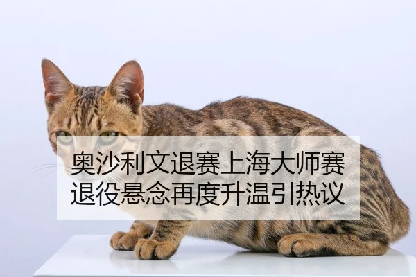 奥沙利文退赛上海大师赛 退役悬念再度升温引热议 - NBA